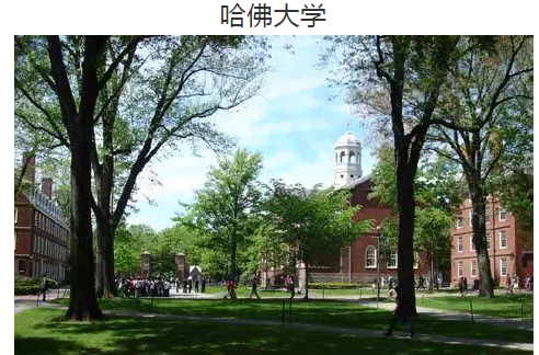 图片15.png